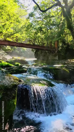 夏の菊池渓谷