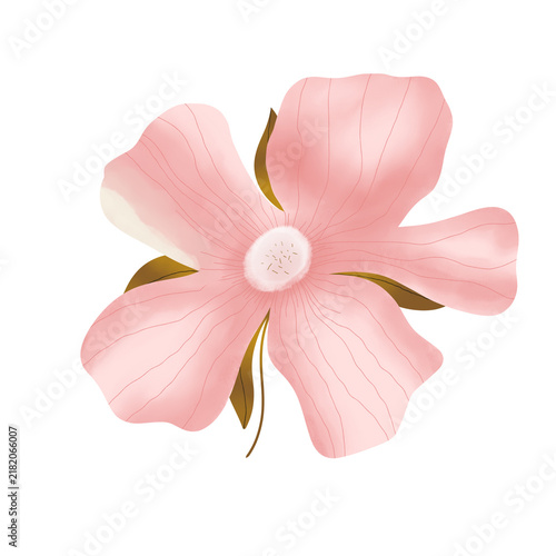 Flower illustration. Pink floral sakura illustration. Cute colorful element for wedding, card, animation, background, sticker.
