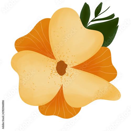 Floral tropical art. Flowers illustration. Cute colorful element for wedding, card, animation, background.
