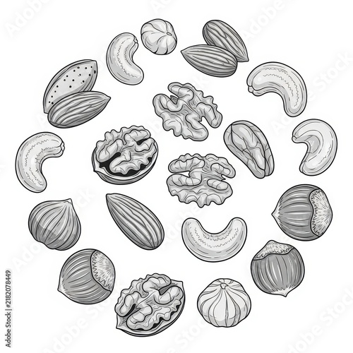 Set of seashells on white background