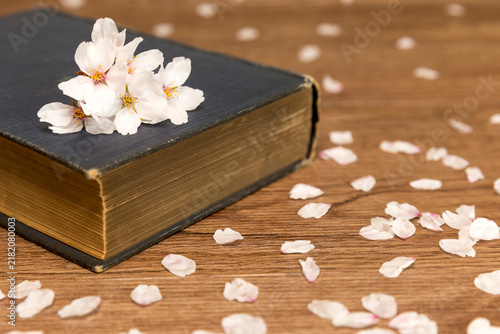 Leisure and reading in spring