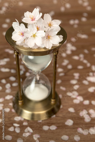  Spring time and cherry blossoms