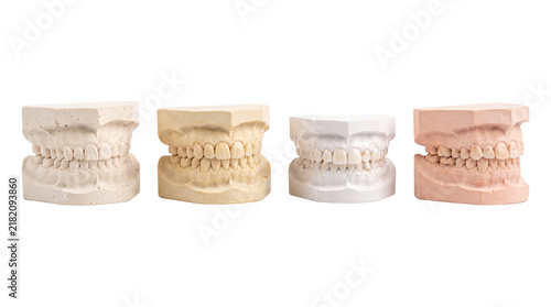 dental model PNG set , white background as transparent