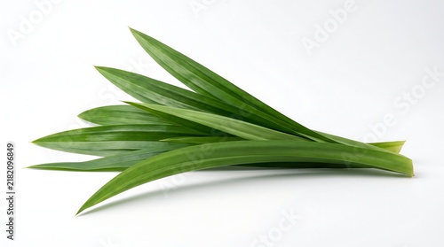 Fresh green pandan leaves isolated on a white background.