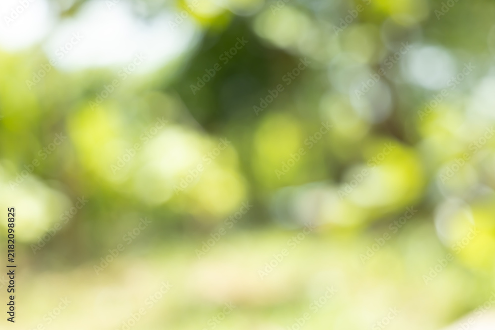 Obraz premium green blurred backdrop of nature, circle light wallpaper, white bokeh background