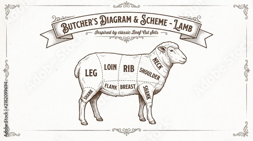 Vintage Butcher Diagram Chart Showing Lamb Meat Cuts On Textured Paper Background