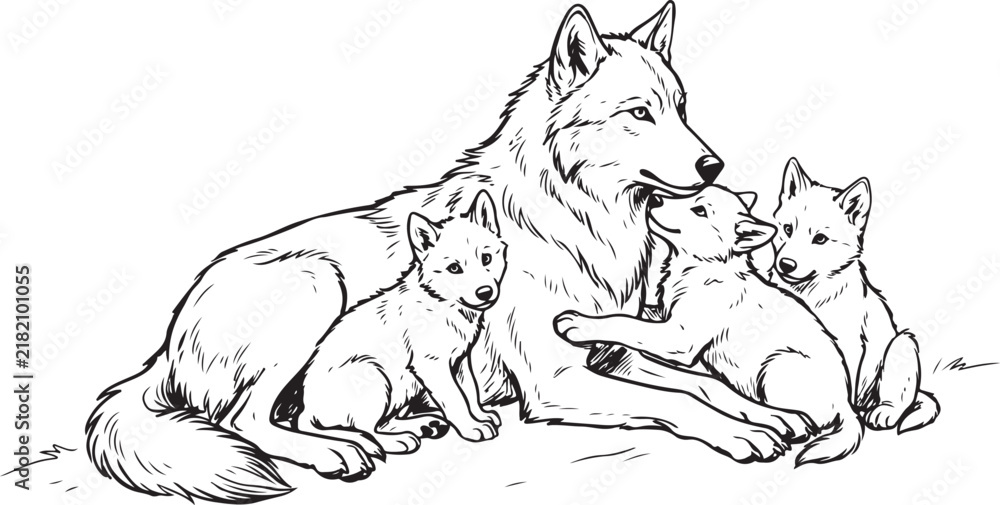 Fototapeta premium Mother Wolf With Pups Lying Together Black and White Line Art