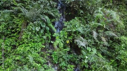 Aerial Footage Forest Trail Following a Clear Rocky Stream Through Dense Tropical Trees in Indonesia. A Peaceful Scene for Outdoor Exploration and Wilderness Adventure.
