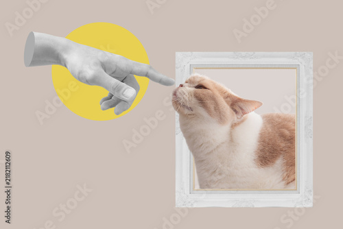 Digital collage modern art, a cat sniffing finger. Cat lover, animal lover, petting cat