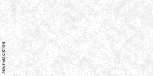 Abstract grid landscape topography white background. white and black relief line wireframe isoline location diagram world map texture design.