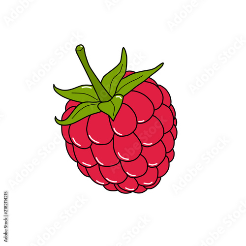 Fresh red raspberry fruit with stem and leaf