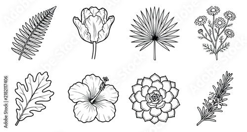 Minimalist botanical line art collection, set of 8 floral and leaf vector icons, black and white nature illustrations for wedding stationery