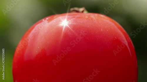 Close-up of a ripe red tomato with sunlight reflection
