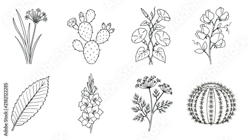 Minimalist botanical line art collection, 8 hand drawn floral vector icons, black and white wildflower and cactus sketches for wedding stationery