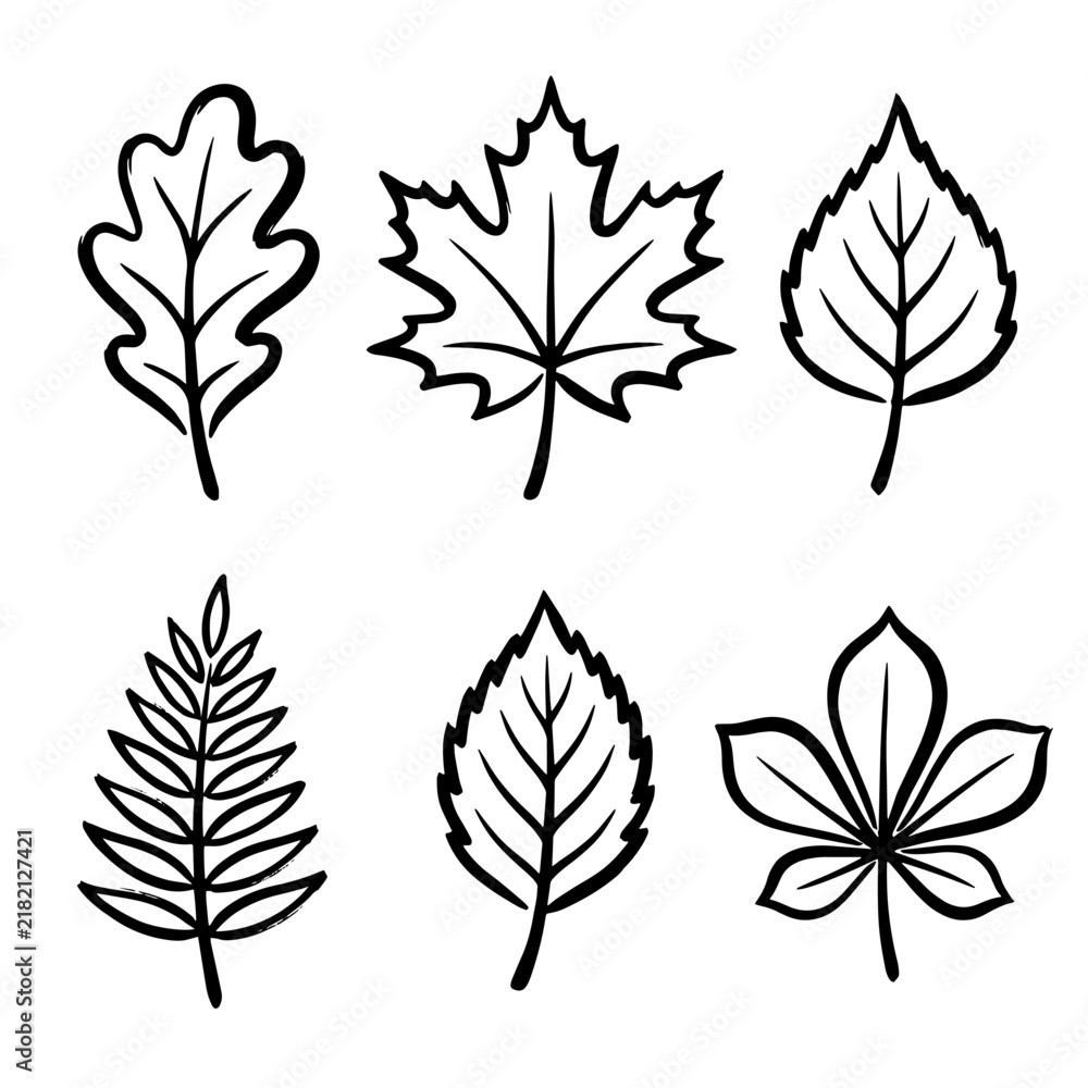 Fototapeta premium Fall Leaves Icon Simple Illustration with Brush Outline