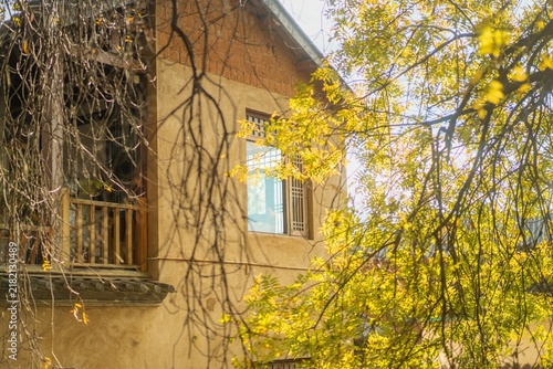 Foto Traditional earthen building framed by golden ginkgo branches, Shaxi Ancient Tow