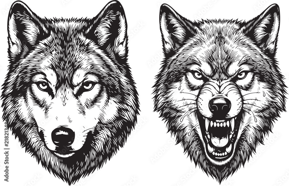Fototapeta premium Dual Wolf Head Illustration, Calm and Snarling Black and White Line Art for Tattoo or Mascot
