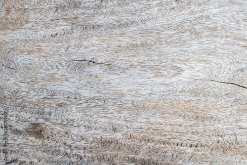 background texture nature wooden cut hardwood forest 