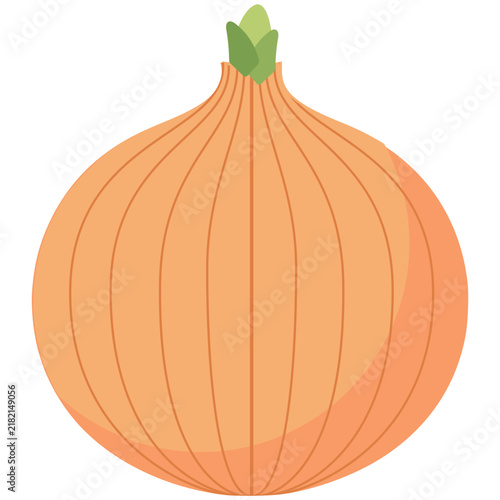 Fresh raw whole bulb onion vector icon isolated for cooking and healthy food design