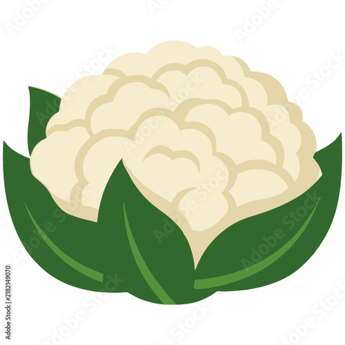 Fresh white organic cauliflower vegetable isolated flat vector icon for market and diet design