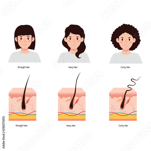 Hair Types Vector Illustration Bundle