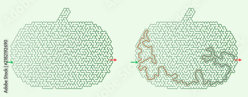 Maze design featuring a pumpkin shape with intricate paths and a contrasting interior