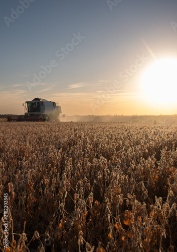   Kombine harvester that is harvesting soybeans