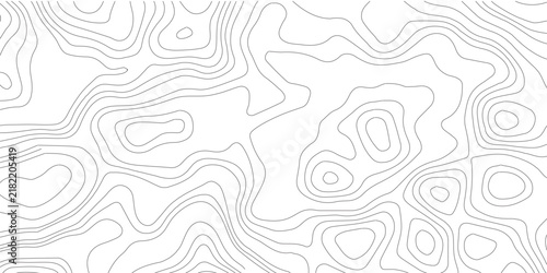 Topographic map vector background, abstract contour lines pattern, minimalist white geography texture for cartography and web design