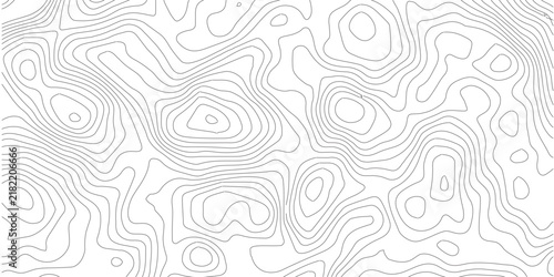Topographic Map Pattern Vector Background. Abstract Contour Lines on White. Geographical Terrain Topology. Gray Minimalist Texture for Design,