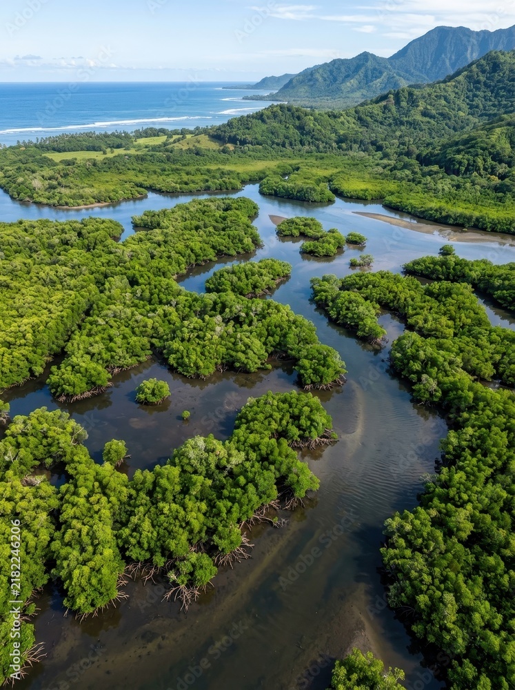 Obraz premium Aerial View of Lush Tropical Mangrove Forest and Coastal Estuary with Mountains and Sea Background