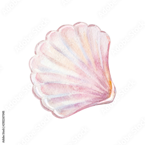 Closed pink seashell half valve with shiny nacre pearl luster. Hand drawn watercolor illustration isolated on. Realistic scallop sea shell art element for marine design and summer craft.