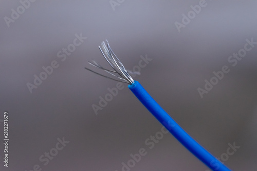 Bild auf Leinwand Blue electrical wire frayed metal strands stripped insulation against gray backg