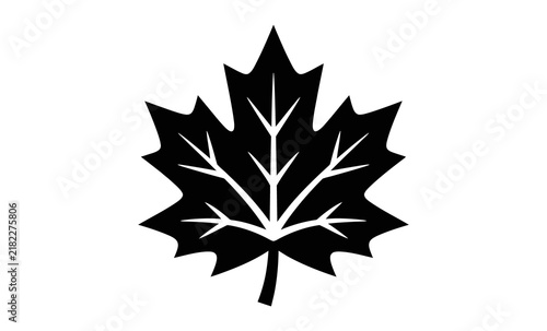 Minimalist Maple Leaf Snowflake Icon
