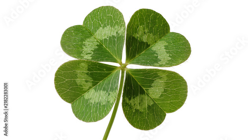 Foto Four-leaf clover with green leaves and intricate veins, isolated on transparent