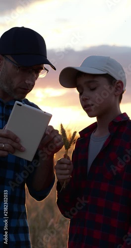 Farmer and boy inspect wheat crop with tablet at sunset. They study grain in field together. Rural teamwork supports smart agriculture. Warm light shows family farming tradition outdoors.