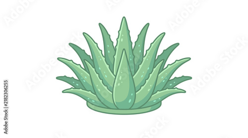 Green aloe vera plant illustration on white background.