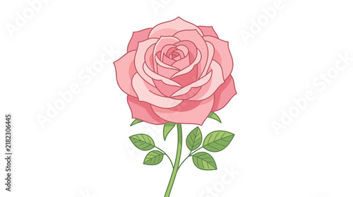 Single pink rose with green leaves on white background