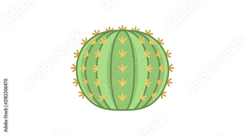 Stylized round green cactus succulent plant illustration