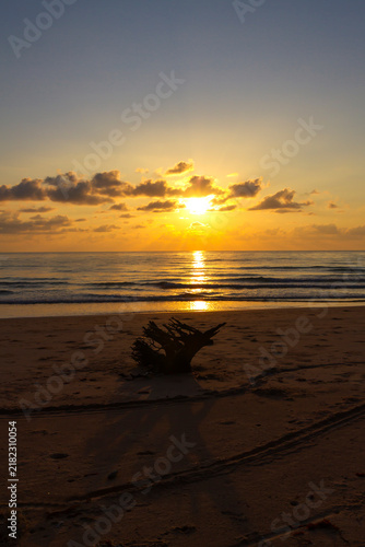 Sunrise on sea and silhouette of log