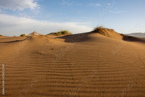 Konstfotografi Golden Sand Dunes with Wind Ripples, Dry Grass and Mountains
