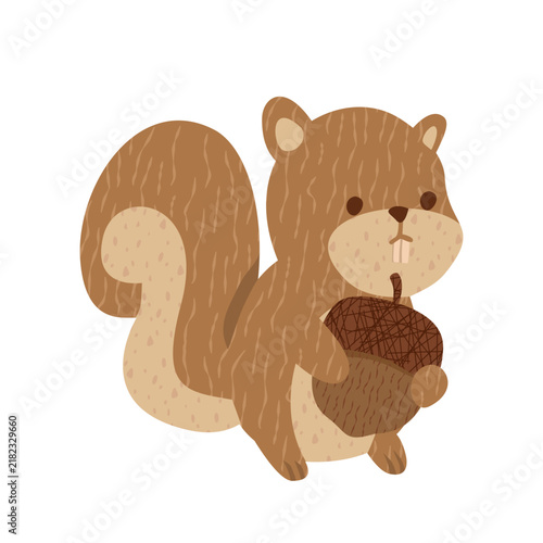 Cute autumn squirrel holding brown acorn illustration isolated on white background