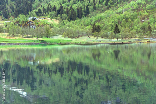 Forest reflection in calm lake Norway