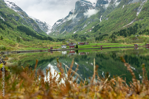 Mountain lake reflection with foreground plants Norway