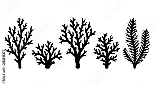 Foto Various coral formations presented as a black silhouette reefs marine