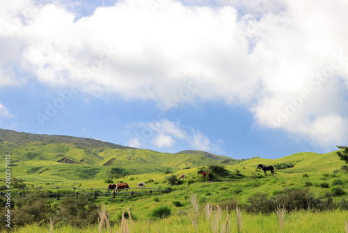 夏の阿蘇の風景