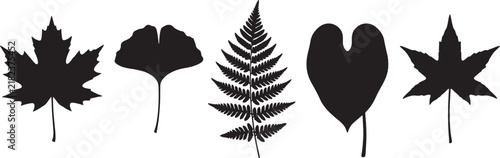 Set of five distinct botanical leaf silhouettes isolated on a white background as a vector graphic illustration