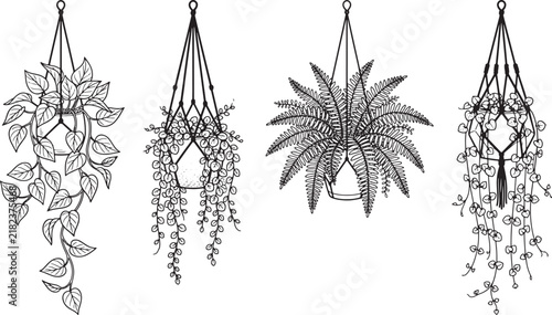 Set of four hand drawn hanging plants in macrame pots isolated on white background in ink sketch style