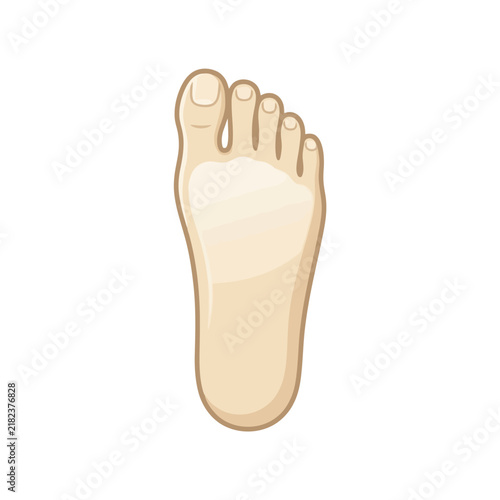 Human foot sole view on white.
