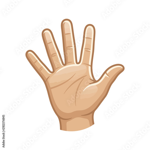 Human hand with palm facing forward.