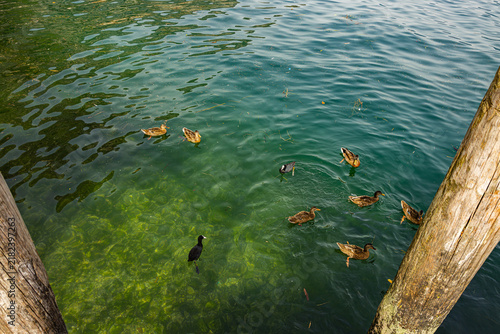 Limone am Gardasee, Italien, Europa
